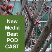 New Media Beat Logo on Budding Branches